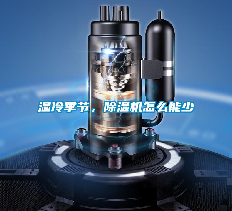 湿冷季节，香蕉福利视频机怎么能少
