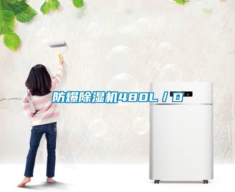 防爆香蕉福利视频机480L／D