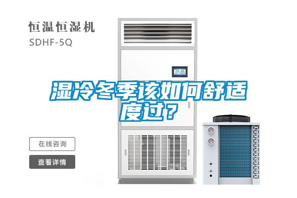 湿冷冬季该如何舒适度过？