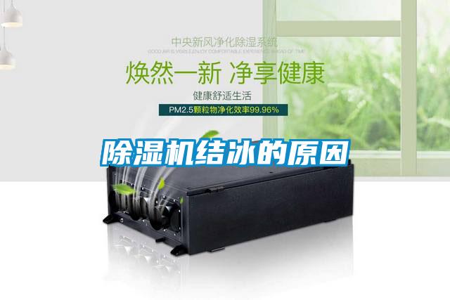 香蕉福利视频机结冰的原因