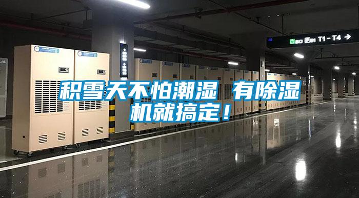 积雪天不怕潮湿 有香蕉福利视频机就搞定！