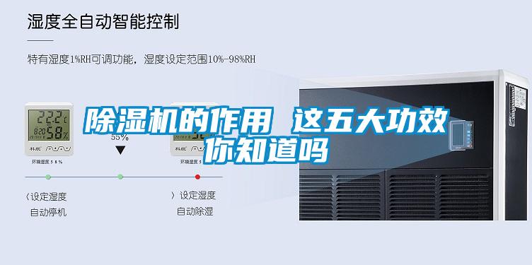 香蕉福利视频机的作用 这五大功效你知道吗
