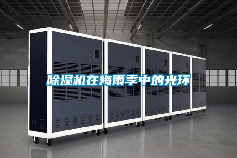 香蕉福利视频机在梅雨季中的光环