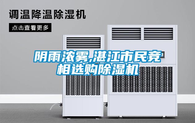 阴雨浓雾,湛江市民竞相选购香蕉福利视频机
