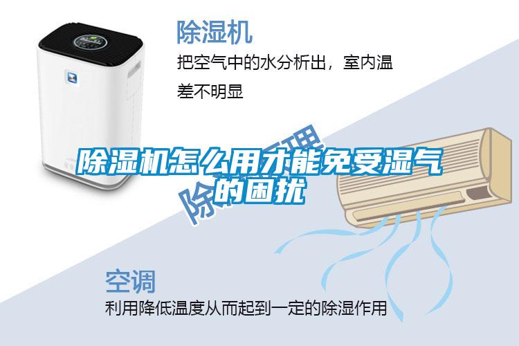 香蕉福利视频机怎么用才能免受湿气的困扰