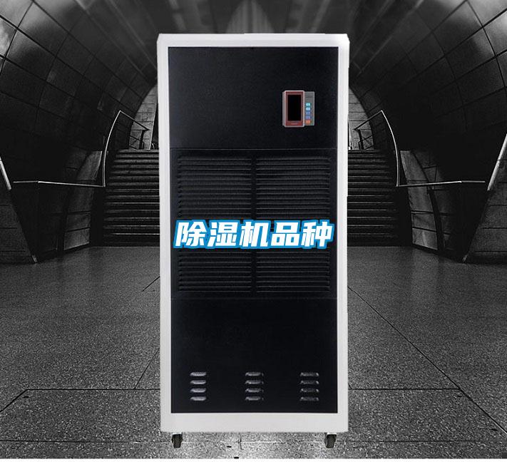 香蕉福利视频机品种