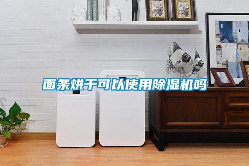 面条烘干可以使用香蕉福利视频机吗