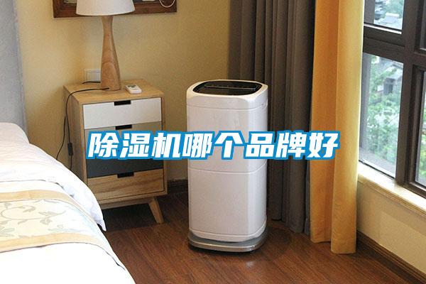 香蕉福利视频机哪个品牌好