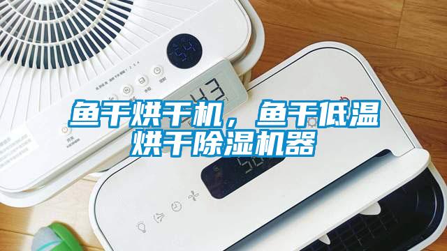鱼干烘干机，鱼干低温烘干香蕉福利视频机器