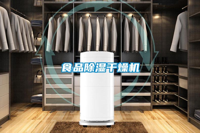 食品香蕉福利视频干燥机