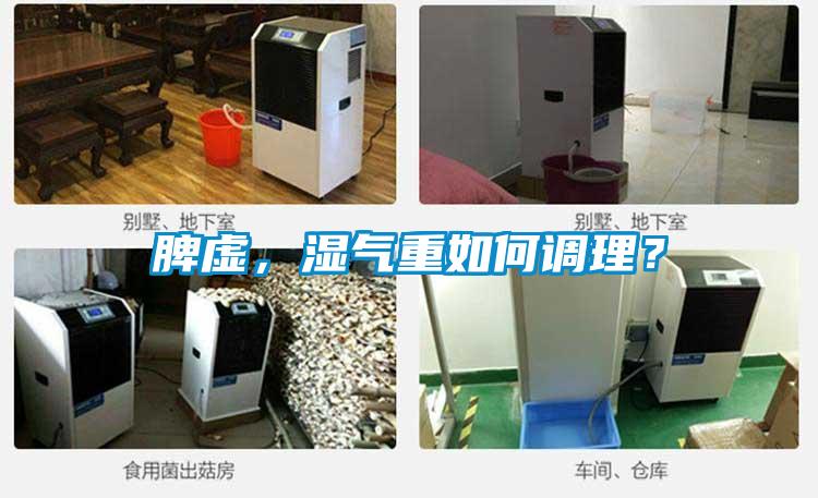 脾虚，湿气重如何调理？