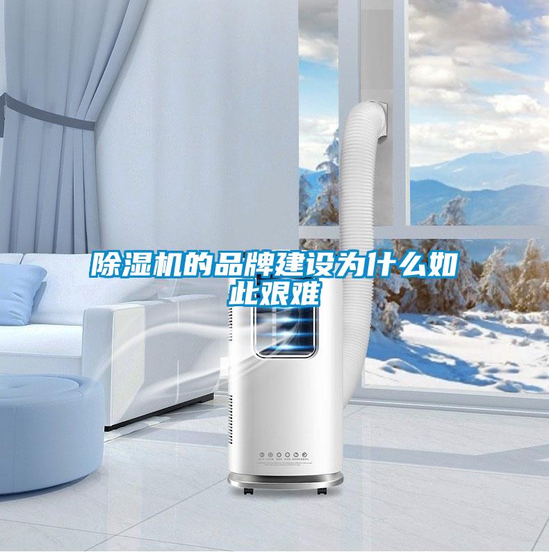 香蕉福利视频机的品牌建设为什么如此艰难