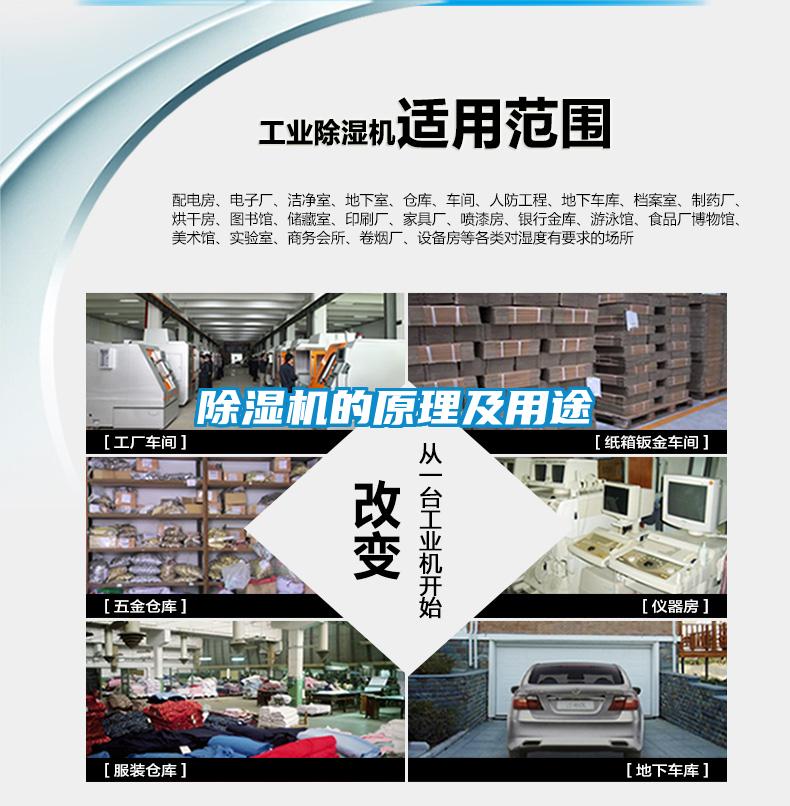香蕉福利视频机的原理及用途