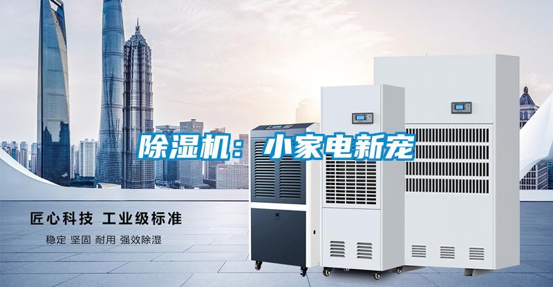 香蕉福利视频机：小家电新宠