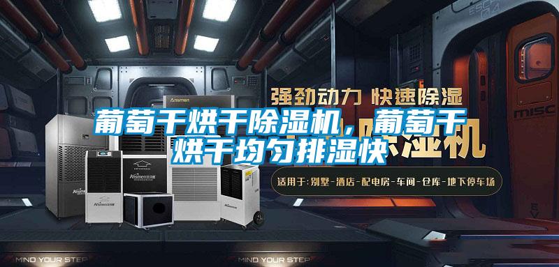葡萄干烘干香蕉福利视频机，葡萄干烘干均匀排湿快