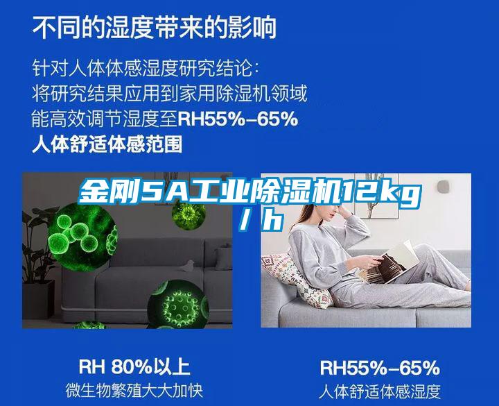 金刚5A工业香蕉福利视频机12kg／h