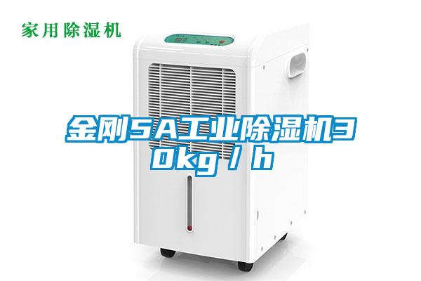 金刚5A工业香蕉福利视频机30kg／h