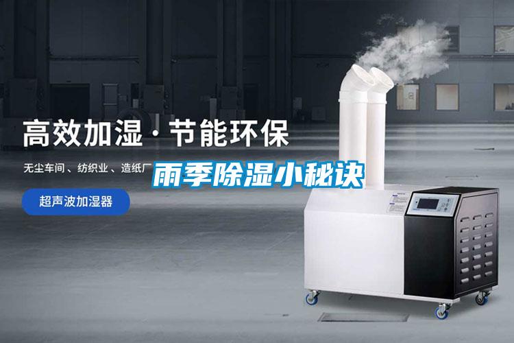 雨季香蕉福利视频小秘诀