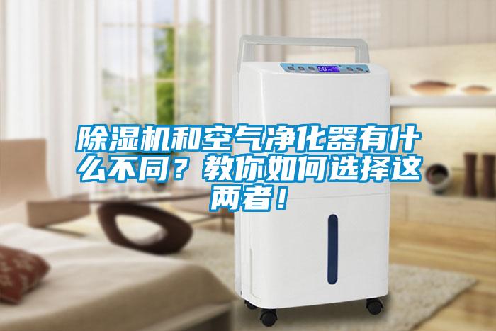 香蕉福利视频机和空气净化器有什么不同？教你如何选择这两者！