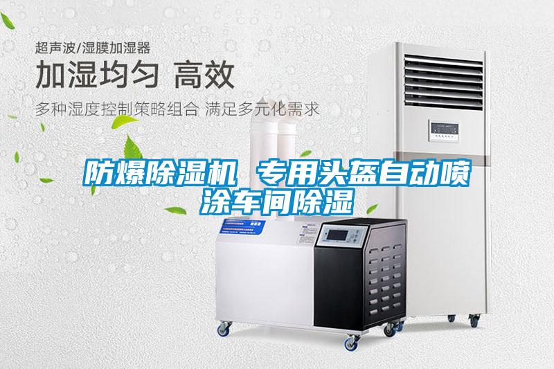 防爆香蕉福利视频机 专用头盔自动喷涂车间香蕉福利视频