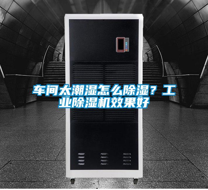 车间太潮湿怎么香蕉福利视频？工业香蕉福利视频机效果好