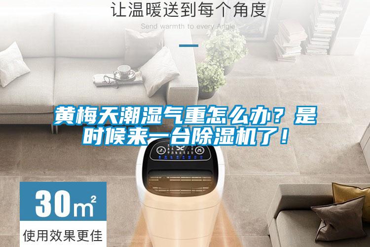 黄梅天潮湿气重怎么办？是时候来一台香蕉福利视频机了！