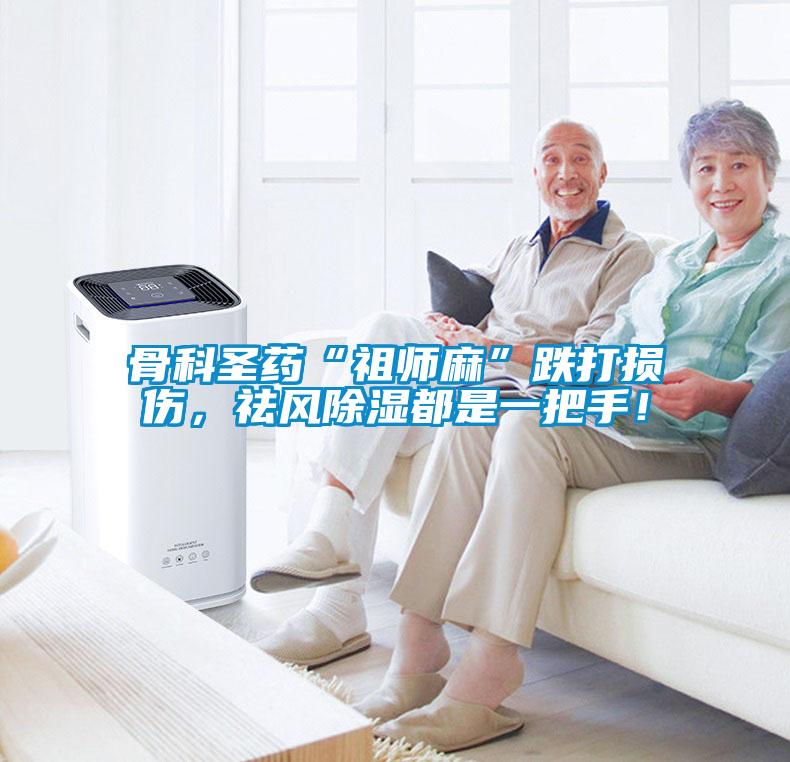 骨科圣药“祖师麻”跌打损伤，祛风香蕉福利视频都是一把手！
