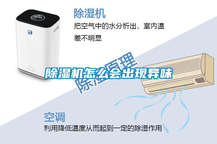 香蕉福利视频机怎么会出现异味