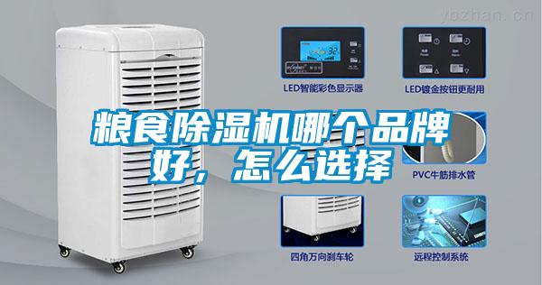 粮食香蕉福利视频机哪个品牌好，怎么选择