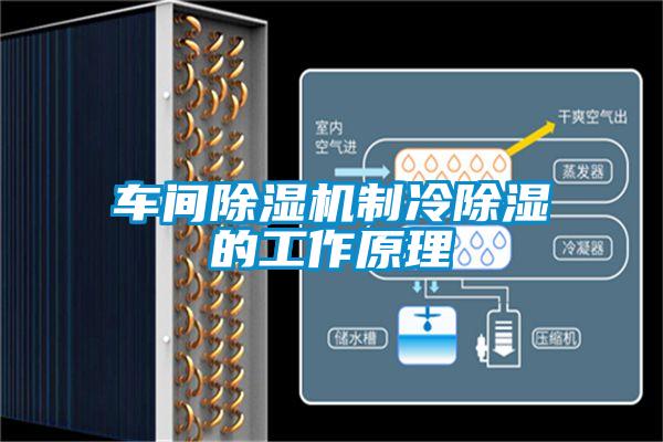 车间香蕉福利视频机制冷香蕉福利视频的工作原理