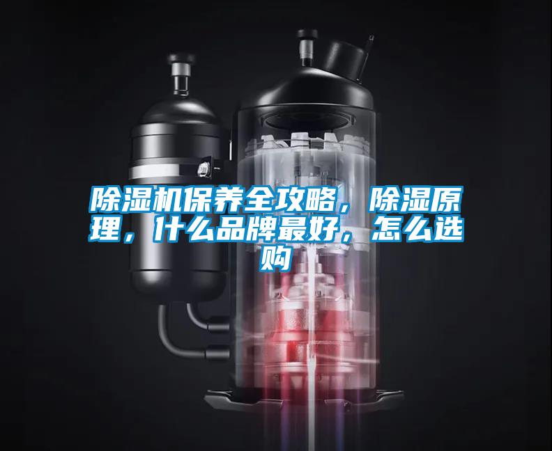 香蕉福利视频机保养全攻略，香蕉福利视频原理，什么品牌最好，怎么选购