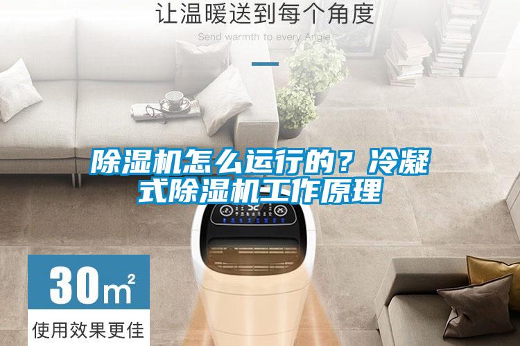 香蕉福利视频机怎么运行的？冷凝式香蕉福利视频机工作原理
