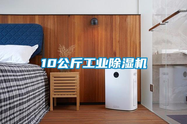 10公斤工业香蕉福利视频机