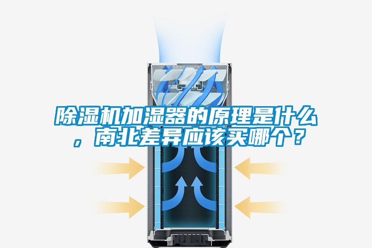 香蕉福利视频机加湿器的原理是什么，南北差异应该买哪个？