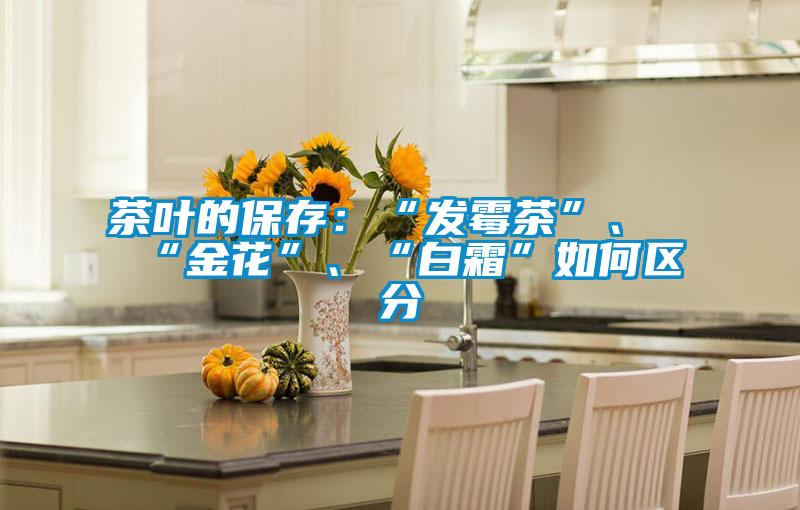 茶叶的保存：“发霉茶”、“金花”、“白霜”如何区分