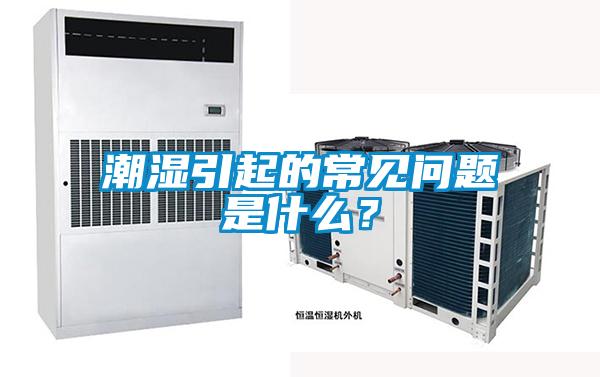 潮湿引起的常见问题是什么？