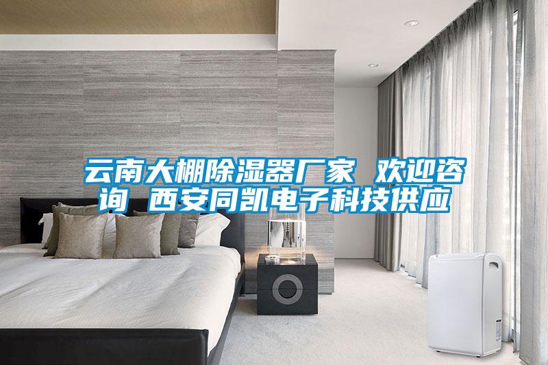 云南大棚香蕉福利视频器厂家 欢迎咨询 西安同凯电子科技供应