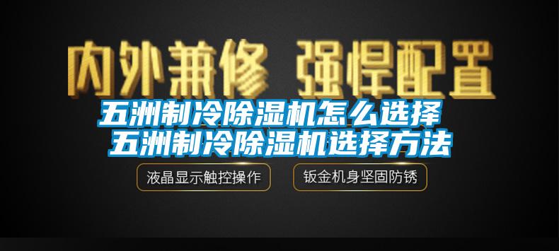 五洲制冷香蕉福利视频机怎么选择 五洲制冷香蕉福利视频机选择方法