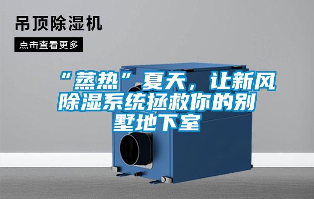 “蒸热”夏天，让新风香蕉福利视频系统拯救你的别墅地下室