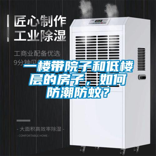 一楼带院子和低楼层的房子，如何防潮防蚊？