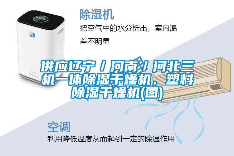 供应辽宁／河南／河北三机一体香蕉福利视频干燥机，塑料香蕉福利视频干燥机(图)