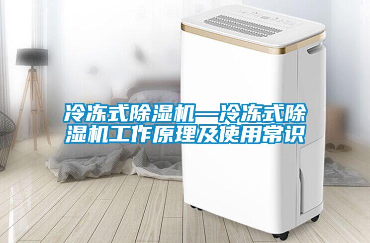冷冻式香蕉福利视频机—冷冻式香蕉福利视频机工作原理及使用常识