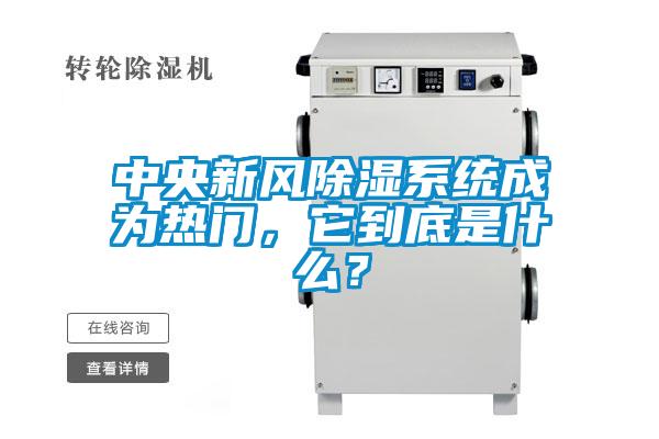 中央新风香蕉福利视频系统成为热门，它到底是什么？