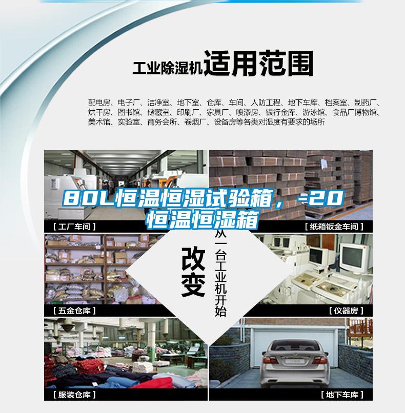 80L恒温恒湿试验箱，-20℃恒温恒湿箱