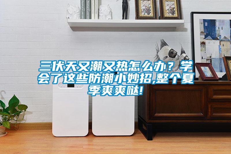 三伏天又潮又热怎么办？学会了这些防潮小妙招,整个夏季爽爽哒!