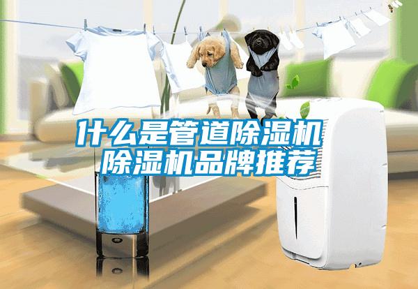 什么是管道香蕉福利视频机 香蕉福利视频机品牌推荐