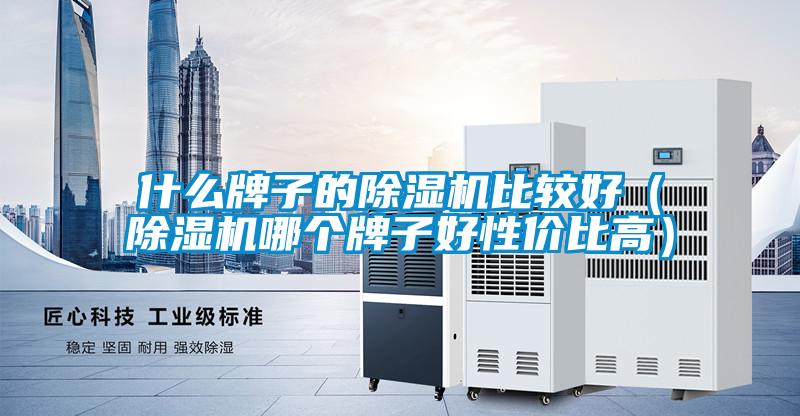 什么牌子的香蕉福利视频机比较好（香蕉福利视频机哪个牌子好性价比高）