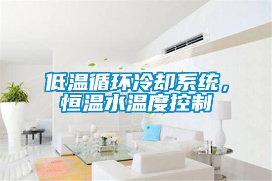 低温循环冷却系统，恒温水温度控制