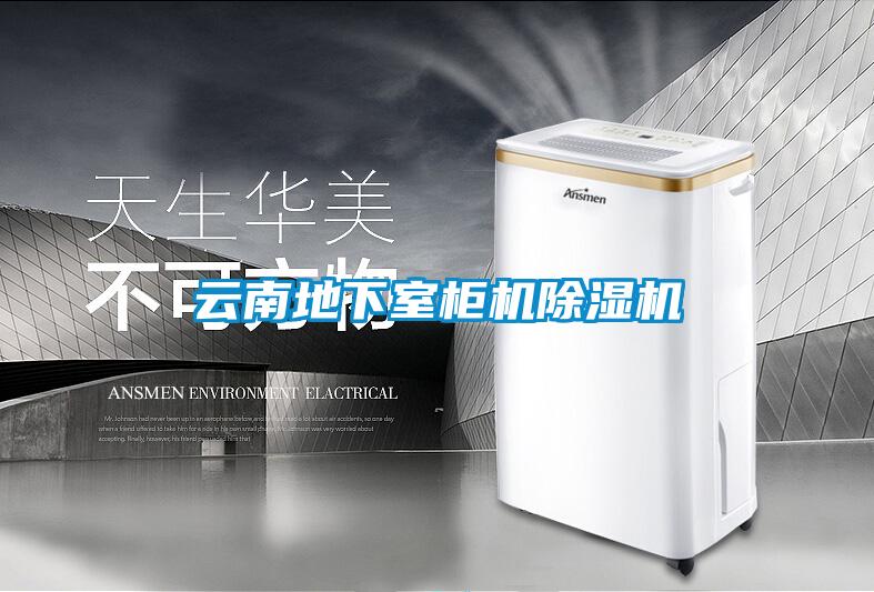 云南地下室柜机香蕉福利视频机