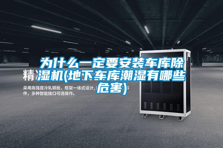 为什么一定要安装车库香蕉福利视频机(地下车库潮湿有哪些危害)